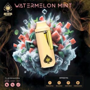 Watermelon Mint Ace Ultra Mini Gen 4 - 2G Hybrid Disposable Vape