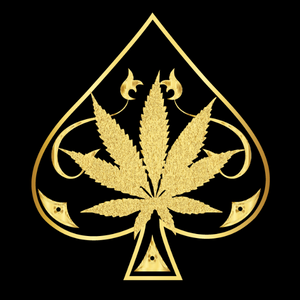 Ace Ultra Premium Official Store